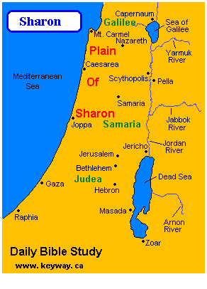 plain-of-sharon